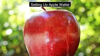 How to Use Apple Wallet on iPhone: Unlocking Your Digital Cash Stash