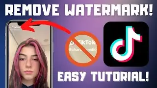 How To Download TikTok Video Without Watermark | How To Remove TikTok Watermark