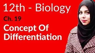 2nd Year Biology, Ch 19 - Concept of Differentiation - 12th Class Biology