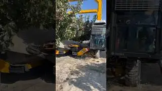 Pistachio harvest with TENIAS Harvester.