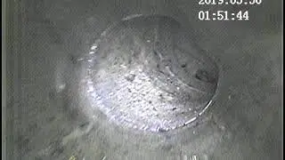 Harbin Sewer 16255 21st ave SW Burien Wa 3 29 2019