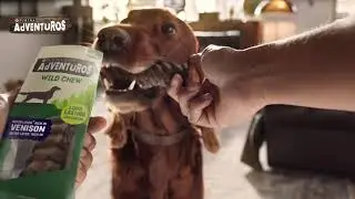 NEW AdVENTuROS (TM) Wild Chew long-lasting dog treat with Venison