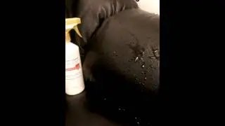 Leather Guard Protection For Leather