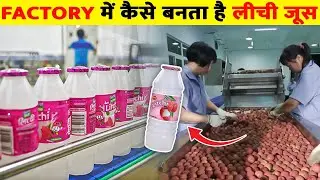 फैक्ट्री में लीची जूस कैसे बनता है | How Litchi Juice Is Made In Factory | Litchi Juice Production