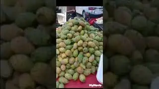 الاماكن المشهوره في المحله الكبرى /يوم جميل في المحله الكبرى