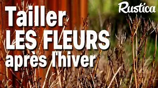 Nettoyer et tailler les fleurs vivaces en fin d’hiver