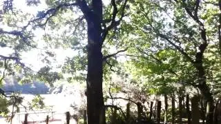Frimley Lodge Park Minature Railway