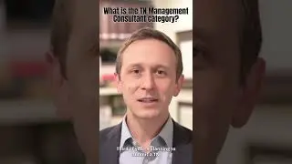 What is the TN visa management consultant category?