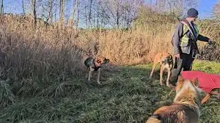 Monday morning Woofer Walk!