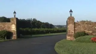 Celebrate North Carolina Wines