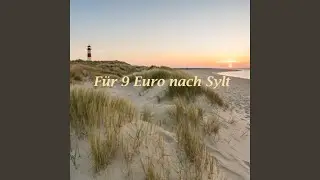 F&uuml;r 9 Euro nach Sylt