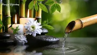 Soothing Relaxation Music for Deep Sleep & Healing | Calming Piano, Water Sounds & Nature Ambience 🌿