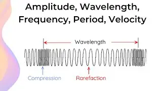 Properties of Longitudinal Waves // HSC Physics