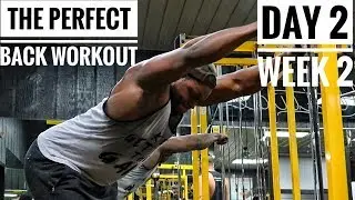 The Perfect Back Workout | Day 2 - Week 2