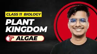 02 Introduction to Algae | Plant Kingdom | Class 11 NEET - PrepXpert #neet #neetbiology #neet2026