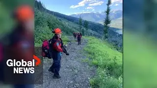 BC wildfires: 19-year-old firefighter struck and killed by fallen tree while clearing brush