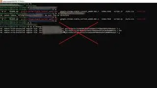 Fix “rm: remove write-protected regular file” Error in Ubuntu Terminal