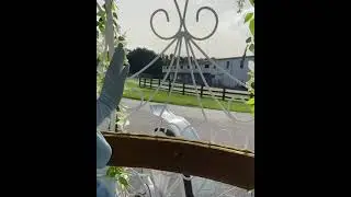 Magical Carriage Ride