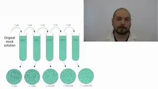 2-11 Dilution Problems