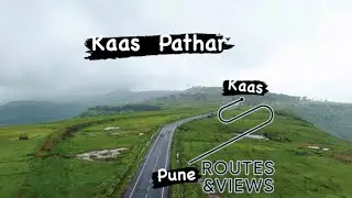 Floral Wonderland: Pune to Kaas Plateau Drive
