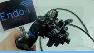 Endo-i Veterinary Endoscopes: Connecting to a Smart Device (EQ1510 & EQ3013)