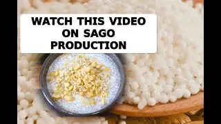 𝗪𝗔𝗧𝗖𝗛 𝗧𝗛𝗜𝗦 𝗩𝗜𝗗𝗘𝗢 𝗢𝗡 𝗦𝗔𝗚𝗢 𝗣𝗥𝗢𝗗𝗨𝗖𝗧𝗜𝗢𝗡 #youtubeshorts #shortvideo #short #viralvideo #motivation