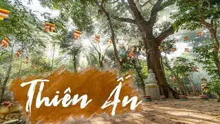 CH&Ugrave;A THI&Ecirc;N ẤN Ở Quảng Ng&atilde;i C&oacute; Giếng Phật, Chu&ocirc;ng Thần Cực Linh