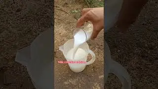 magic fertilizer for any plant  100% success! #shorts