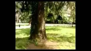 Urban Freedom Parkour and  Freerun End 2010
