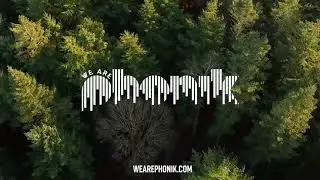Too Much - Vaporslave (Official Audio) [We Are Phonik] Dark Electronica