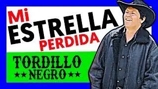 🐴 TORDILLO NEGRO - MI ESTRELLA PERDIDA (Video Oficial)