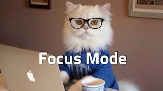 Why Does This Cat Focus Better Than Me? Chill Hip-Hop Beats for Studying & Focus 🎧