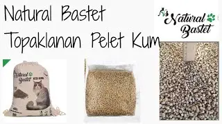Natural Bastet Topaklanan Pelet Kedi Kum almaya değer mi?