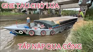 Khi cống Cái Quanh vừa mở, các ghe tàu chở lúa tấp nập qua cống.