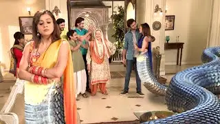 जानिए क्या जब नागिन ने पुरे परिवार को बताई अपनी सच्चाई | Icchapyaari Naagin | New Naagin Series 2025