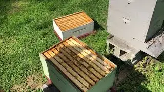 Full Beehive Inspection 8 Frame Deep with Super