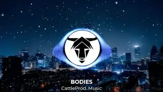 💀LET THE BODIES HIT THE FLOOR💀 (EDM Remix)