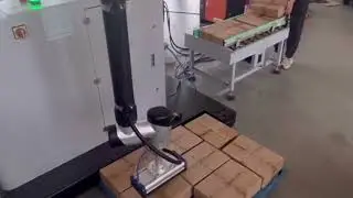 Pallet Manipulator