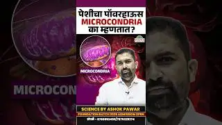 पेशीचा पॉवरहाऊस MICROCONDRIA ला का म्हणतात ? #mpscscience #rajyasevascience #saralsevabharti2024 #yt