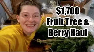HOMESTEAD FRUIT TREE, BERRY AND NUT TREE HAUL | ZONE 4B PERMACULTURE ORCHARD HAUL