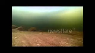 GoPro lowered under frozen lake gets fishy surprise
