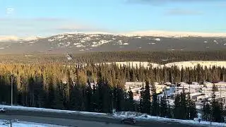 Whitehorse,Yukon 🍁November 2024