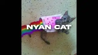 [FREE] 