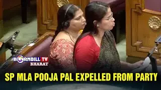 SP MLA POOJA PAL EXPELLED FROM PARTY