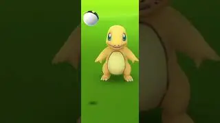 When you have insane luck with one shiny pokemon#pokemongo