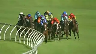 The Sunlight 2026 - Grafterburners (3YO SW OPEN) Голд-Кост, 10 января