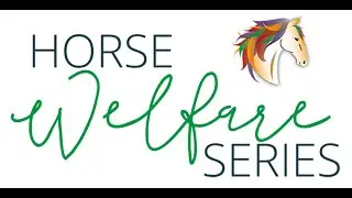 Horse Welfare Series