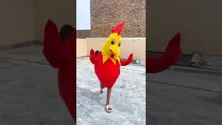 rooster 🐔🐓 new video 😁