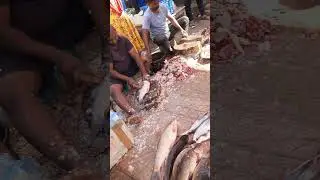 Ammerpet fish market, Ammerpet sunday fish market #fish 🐟