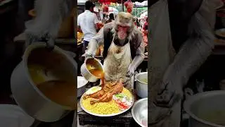 Unique dish😱 curry chicken legs and yellow rice🍛 smart monkey chef 🐒🔥 #shorts #food #monkey